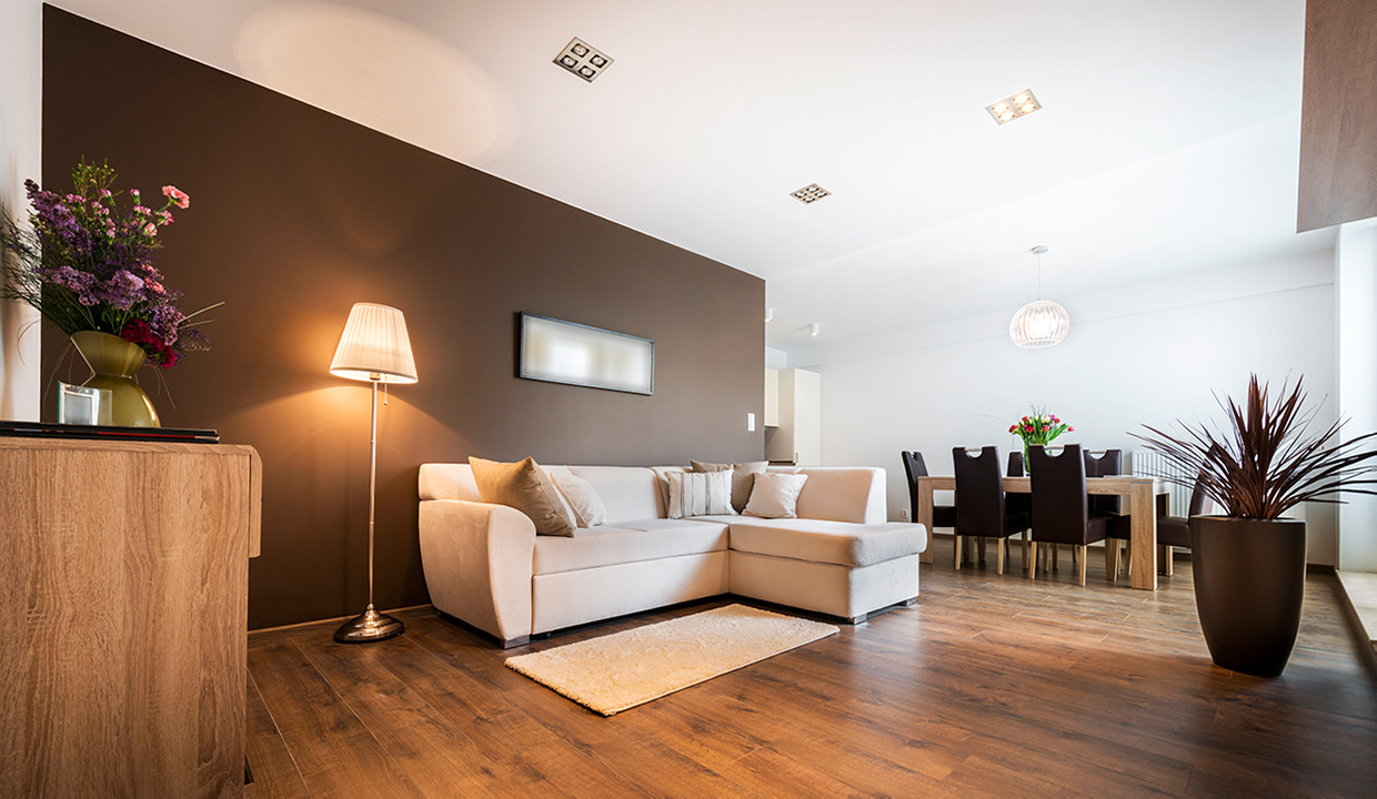 Luxury Apartment
